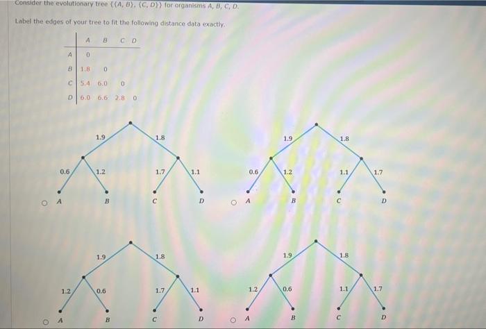 Consider The Evolutionary Tree A B C D For Organisms A B C D Label The Edges Of Your Tree To Fit The Follow 1