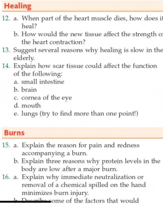 Healing 12 A When Part Of The Heart Muscle Dies How Does It Heal B How Would The New Tissue Affect The Strength Of 1