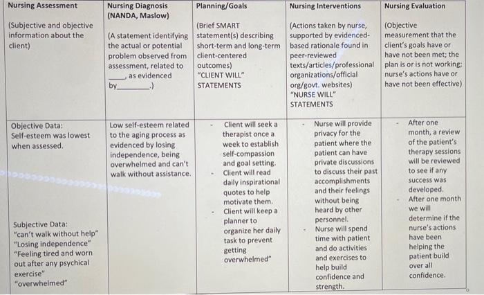 Nursing Assessment Subjective And Objective Information About The Client Nursing Diagnosis Planning Goals Nursing Inte 1