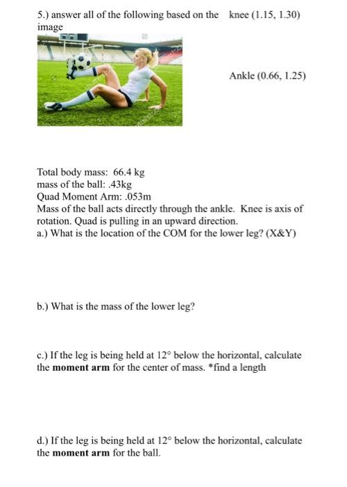 5 Answer All Of The Following Based On The Knee 1 15 1 30 Image Ankle 0 66 1 25 Total Body Mass 66 4 Kg Mass Of 1