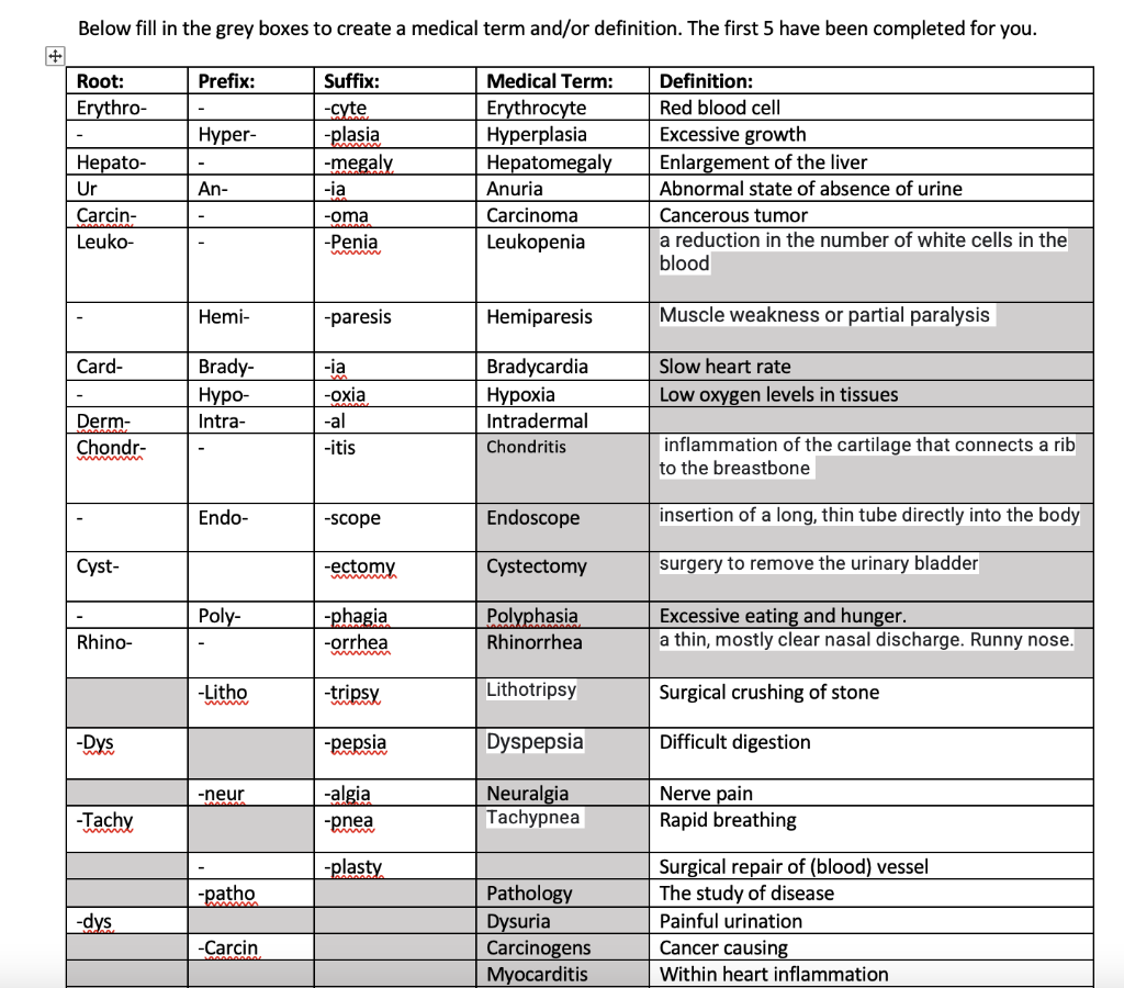 Below Fill In The Grey Boxes To Create A Medical Term And Or Definition The First 5 Have Been Completed For You Prefix 1