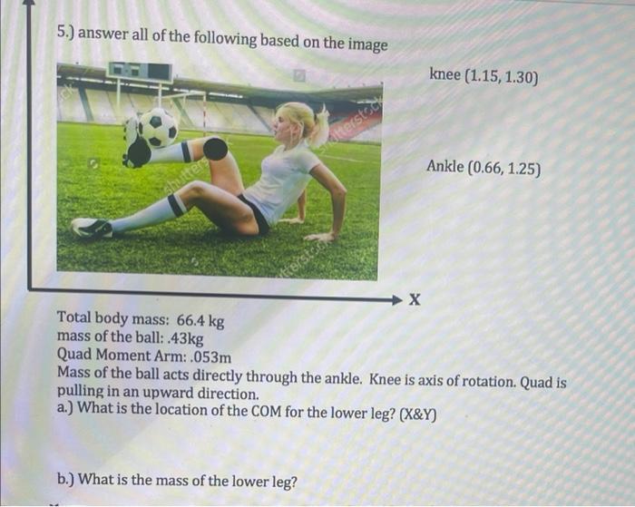 5 Answer All Of The Following Based On The Image Knee 1 15 1 30 Ankle 0 66 1 25 Total Body Mass 66 4 Kg Mass Of 1