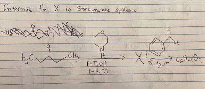 Determine The X In Stork Engmine Synthesis Anm H Cv N H P Toh H2o X2wye Calr 2 H3of Ch3 1
