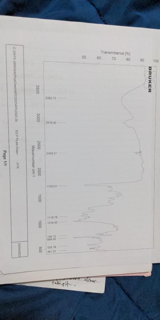 My Sample The Report Questions 1