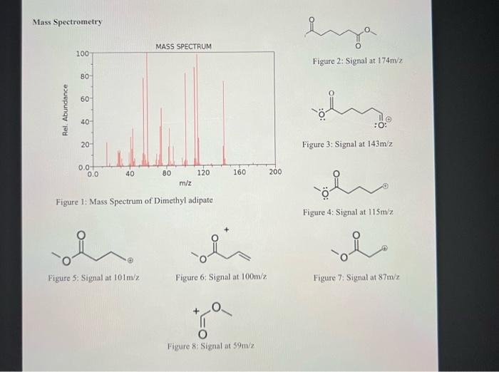 Mass Spectrometry 100 80 60 40 20 Mass Spectrum 0 0 40 80 120 M Z Figure 1 Mass Spectrum Of Dimethyl Adipate E Figure 1