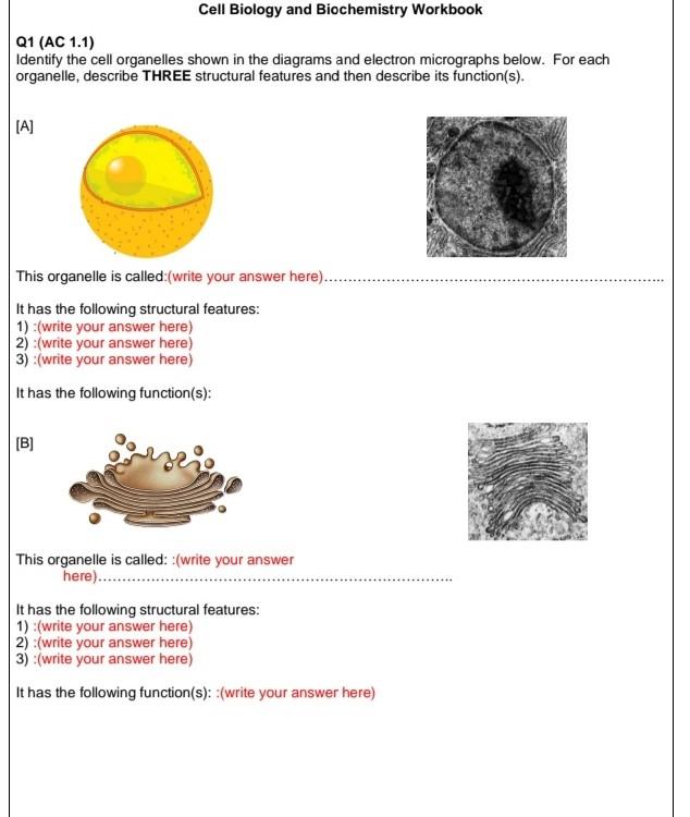 Cell Biology And Biochemistry Workbook Q1 Ac 1 1 Identify The Cell Organelles Shown In The Diagrams And Electron Micro 1