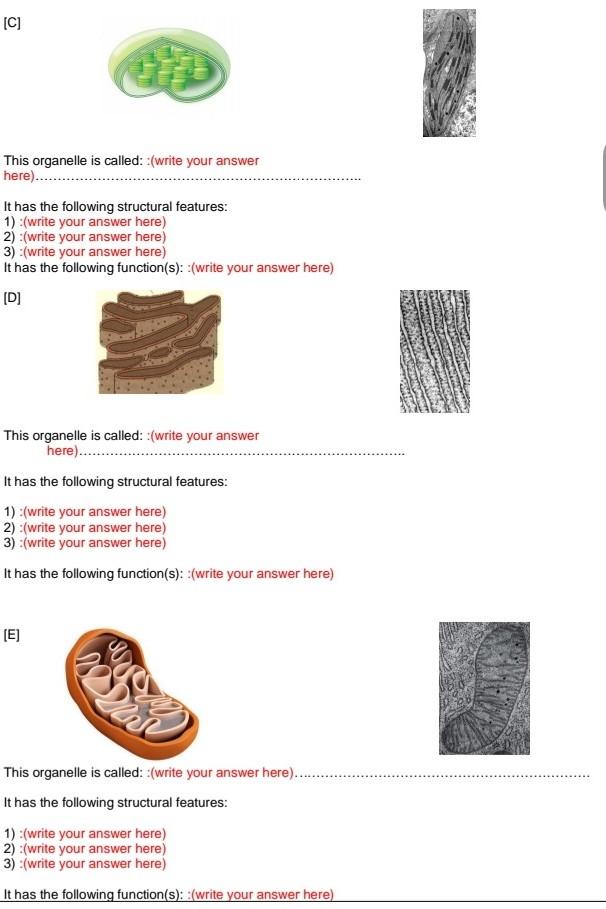 C This Organelle Is Called Write Your Answer Here It Has The Following Structural Features 1 Write Your An 1