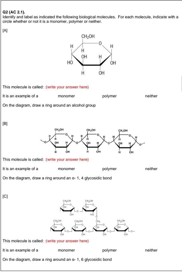 Q2 Ac 2 1 Identify And Label As Indicated The Following Biological Molecules For Each Molecule Indicate With A Circ 1