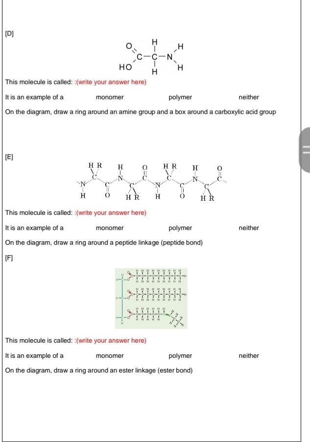 D H T C C N Ho H H This Molecule Is Called Write Your Answer Here It Is An Example Of A Monomer Polymer Neither On 1