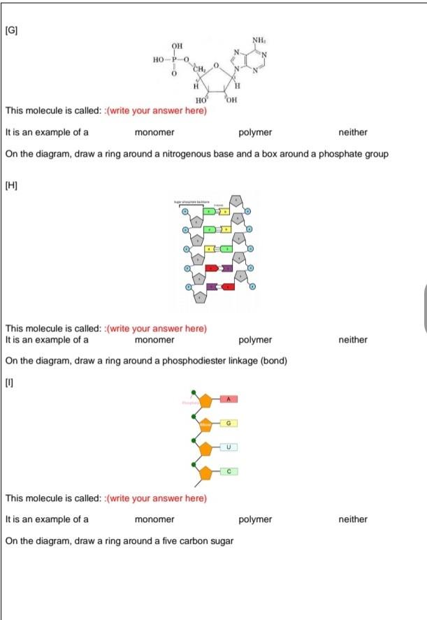 G Oh Ho P O Ch 0 Ho This Molecule Is Called Write Your Answer Here It Is An Example Of A Monomer Polymer Neither 1