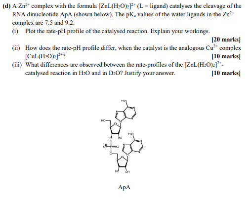D A Zn Complex With The Formula Znl H O 2 L Ligand Catalyses The Cleavage Of The Rna Dinucleotide Apa Shown 1
