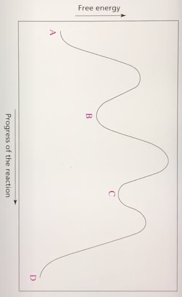 Free Energy M C B Progress Of The Reaction 1