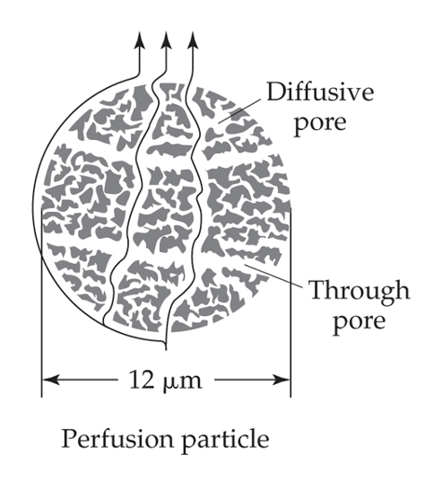 Please Choose The Correct Answer 2 For The Gas Chromatography Technique The Mobile Phase Must Be Hot A Low Boiling 1