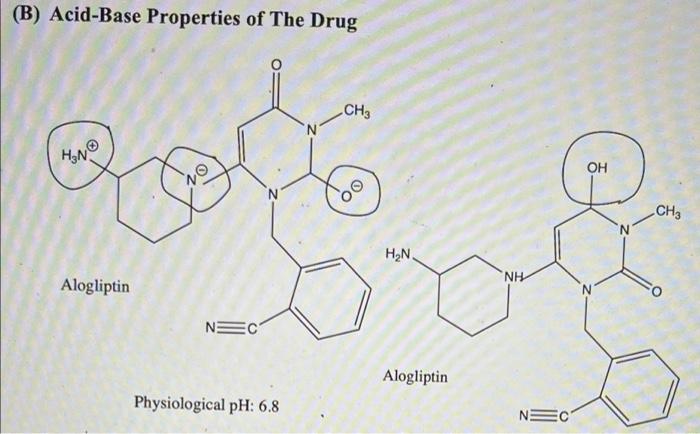 B Acid Base Properties Of The Drug Ch3 H N Alogliptin O Nec Physiological Ph 6 8 Oo H N Alogliptin Nh Nec Oh N Ch3 1