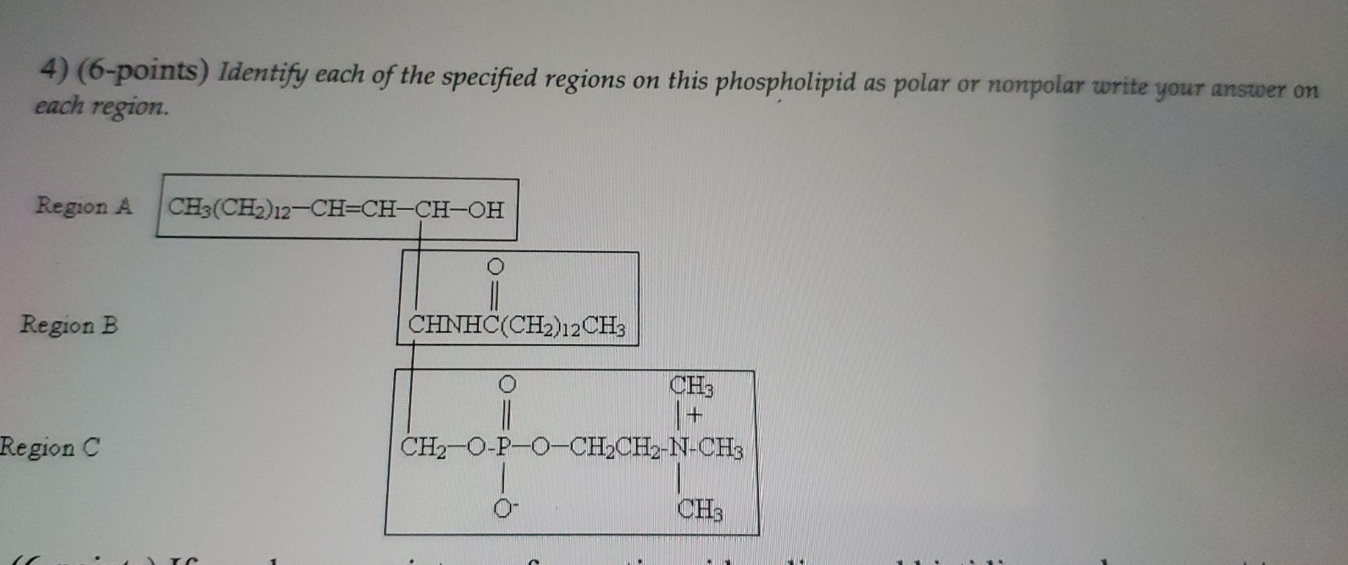 4 6 Points Identify Each Of The Specified Regions On This Phospholipid As Polar Or Nonpolar Write Your Answer On Each 1