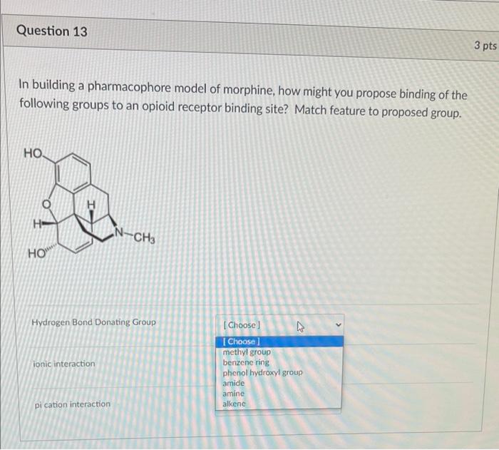 Question 13 3 Pts In Building A Pharmacophore Model Of Morphine How Might You Propose Binding Of The Following Groups T 1