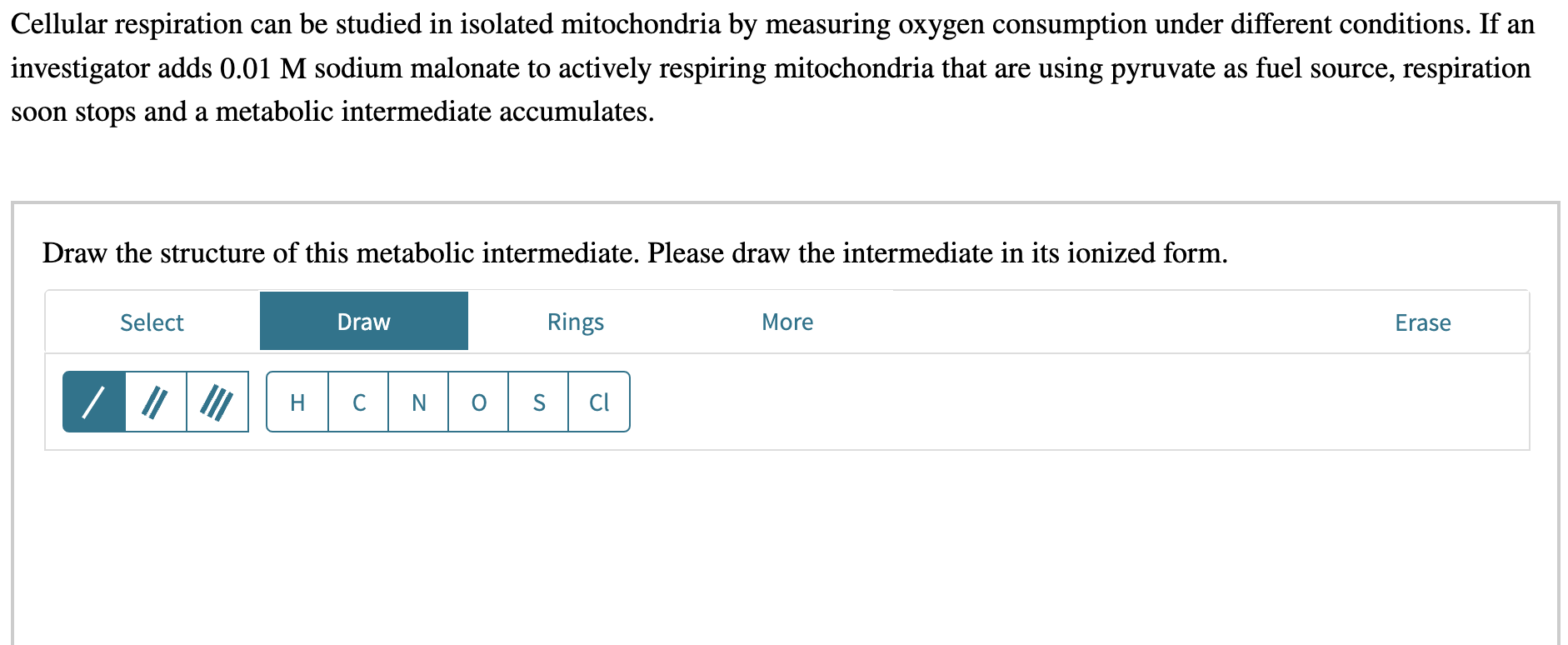 Cellular Respiration Can Be Studied In Isolated Mitochondria By Measuring Oxygen Consumption Under Different Conditions 1