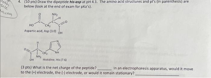Both Sele Viction 4 10 Pts Draw The Dipeptide His Asp At Ph 4 1 The Amino Acid Structures And Pl S In Parenthesis 1