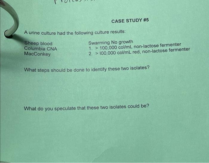 Case Study 5 A Urine Culture Had The Following Culture Results Swarming No Growth Sheep Blood Columbia Cna Macconkey 1 1