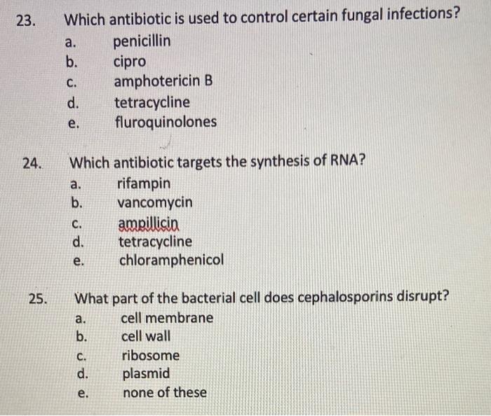 Which Antibiotic Is Used To Control Certain Fungal Infections A Penicillin B Cipro C Amphotericin B D Tetracycline 1