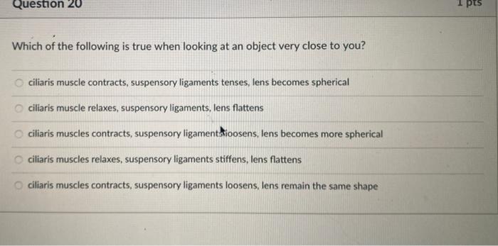 Question 20 Which Of The Following Is True When Looking At An Object Very Close To You Ciliaris Muscle Contracts Suspe 1
