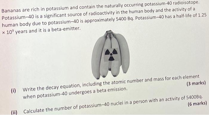 Bananas Are Rich In Potassium And Contain The Naturally Occurring Potassium 40 Radioisotope Potassium 40 Is A Significa 1