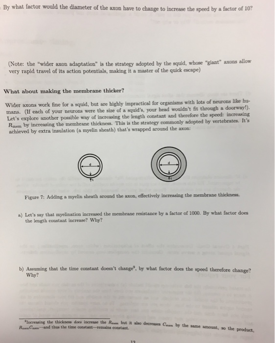 Please Help With These Questions 1 By What Factor Would The Diameter Of The Axon Have To Change To Increase The Speed 1