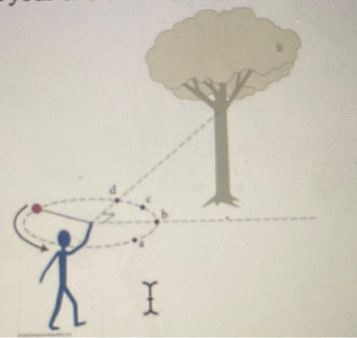 Short Answer 5 5 Points Standing In Front Of A Tree You Whirl A Sling With A Rock In It If You Wish To Hit The Tree 2