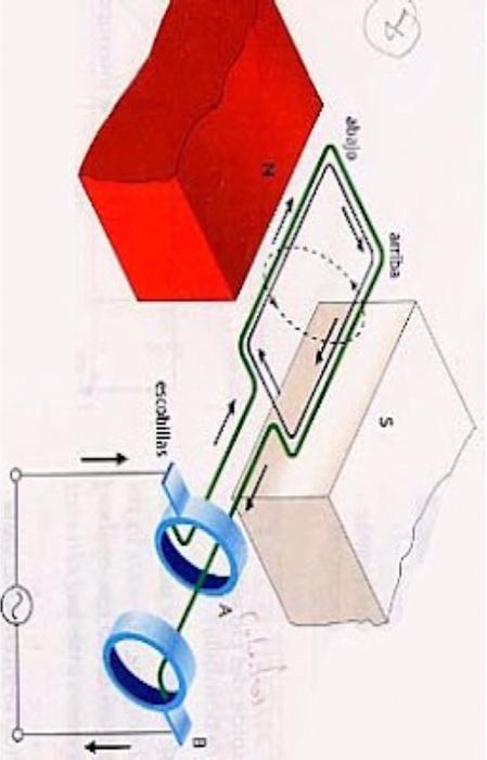 Consider A Loop Of Wire Rotated At Angular Speed W Between The Poles Of A Magnet Such That The Magnetic Flux Through It 1
