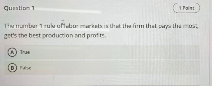 Question 1 1 Point The Number 1 Rule Of Labor Markets Is That The Firm That Pays The Most Get S The Best Production And 1