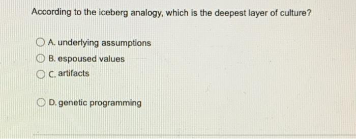 According To The Iceberg Analogy Which Is The Deepest Layer Of Culture O A Underlying Assumptions O B Espoused Value 1