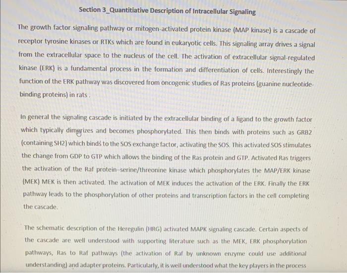 Section 3 Quantitiative Description Of Intracellular Signaling The Growth Factor Signaling Pathway Or Mitogen Activated 1