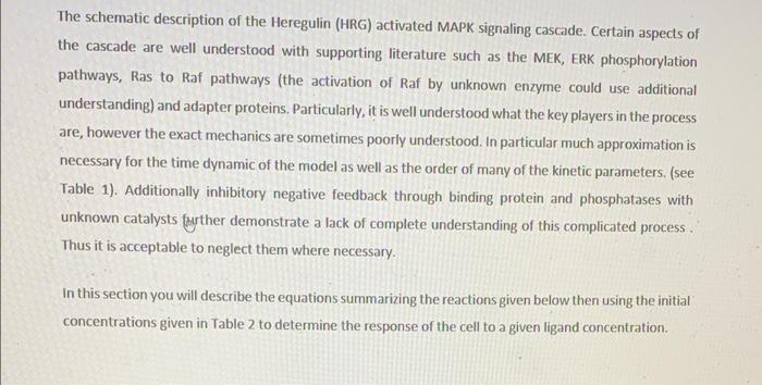 Section 3 Quantitiative Description Of Intracellular Signaling The Growth Factor Signaling Pathway Or Mitogen Activated 2