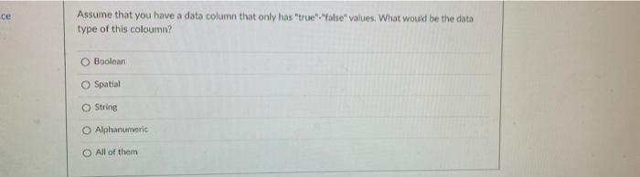 Ce Assume That You Have A Data Column That Only Has True False Values What Would Be The Data Type Of This Coloumn 1