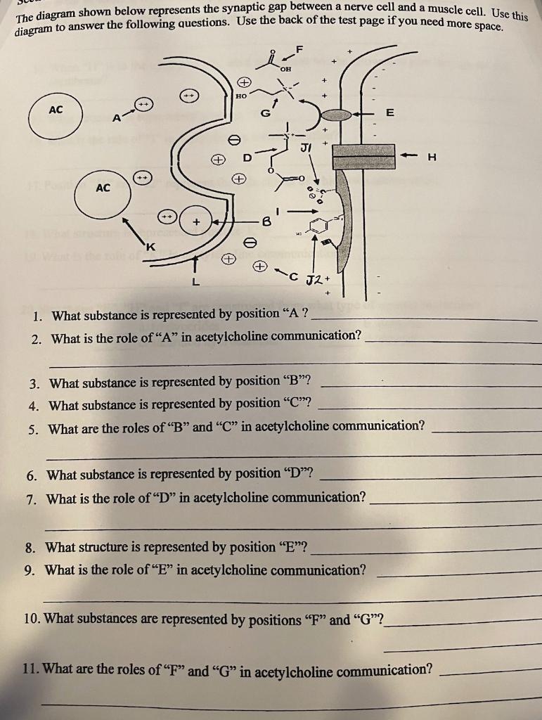 Diagram To Answer The Following Questions Use The Back Of The Test Page If You Need More Space The Diagram Shown Below 1