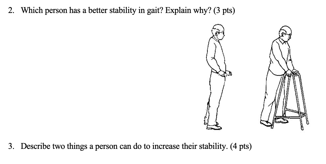 2 Which Person Has A Better Stability In Gait Explain Why 3 Pts 3 Describe Two Things A Person Can Do To Increase 1