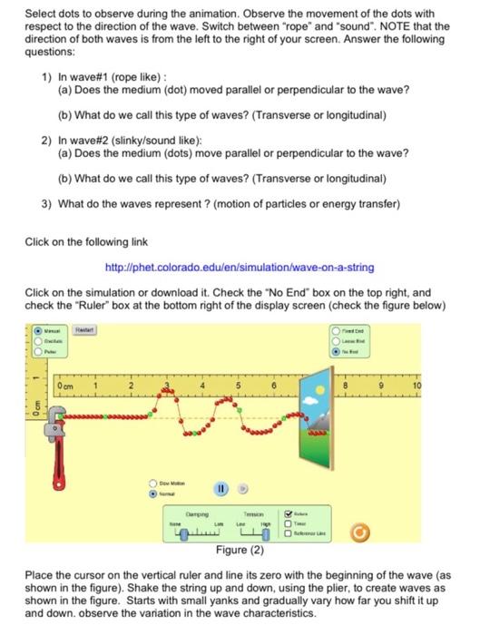 Lab 12 Wave Simulations And Electromagnetic Waves Learning Objectives 1 Explain How Waves Are Generated And Whether T 2