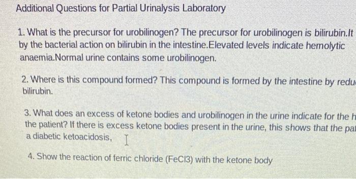 Additional Questions For Partial Urinalysis Laboratory 1 What Is The Precursor For Urobilinogen The Precursor For Urob 1