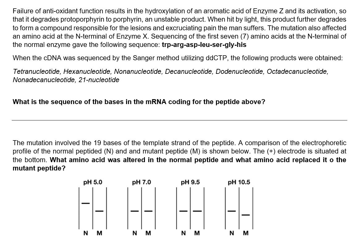 What Is The Sequence Of The Bases In The Mrna Coding For The Peptide Above What Amino Acid Was Altered In The Normal Pe 1