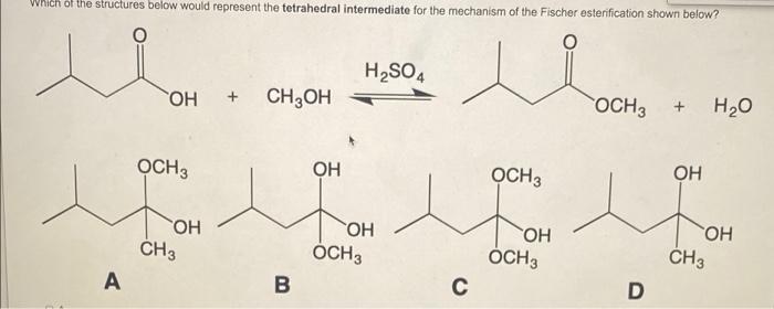 Which Of The Structures Below Would Represent The Tetrahedral Intermediate For The Mechanism Of The Fischer Esterificati 1