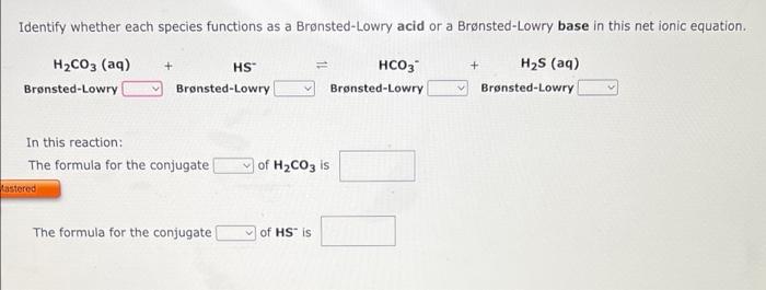 Identify Whether Each Species Functions As A Bronsted Lowry Acid Or A Bronsted Lowry Base In This Net Ionic Equation 1
