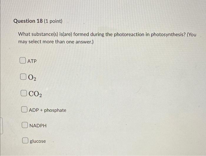 Question 18 1 Point What Substance S Is Are Formed During The Photoreaction In Photosynthesis You May Select More 1