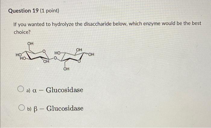 Question 19 1 Point If You Wanted To Hydrolyze The Disaccharide Below Which Enzyme Would Be The Best Choice Oh Oh Ho 1