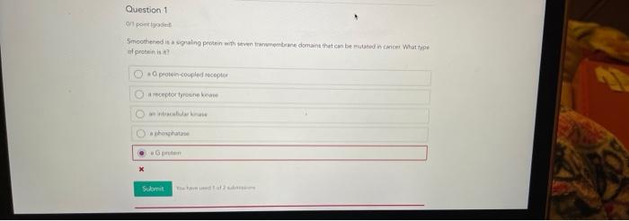 Question 1 Oportet Smoothand Is Nalng Protein With Trane Domains The Bence What Type Of Protein O Protein Coupled Rocopt 1