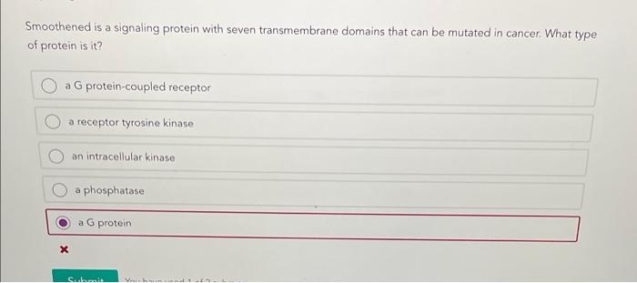 Smoothened Is A Signaling Protein With Seven Transmembrane Domains That Can Be Mutated In Cancer What Type Of Protein I 1