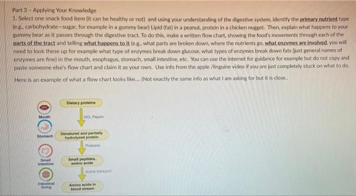 Part 3 Applying Your Knowledge 1 Select One Snack Food Item It Can Be Healthy Or Not And Using Your Understanding Of 1