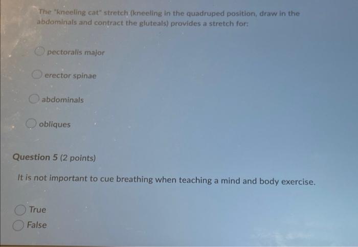 The Kneeling Cat Stretch Kneeling In The Quadruped Position Draw In The Abdominals And Contract The Gluteals Provid 1