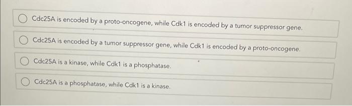 Question 1 1 Point Possible Graded Cdc25a Cdk1 Cycb1 Cdk1 Cycb1 Dephosphorylation Of Cdk1 Phosphorylation Of Many Prot 2