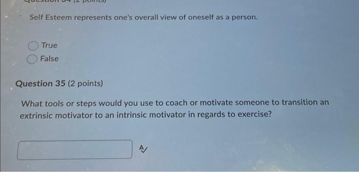 Self Esteem Represents One S Overall View Of Oneself As A Person True False Question 35 2 Points What Tools Or Steps 1