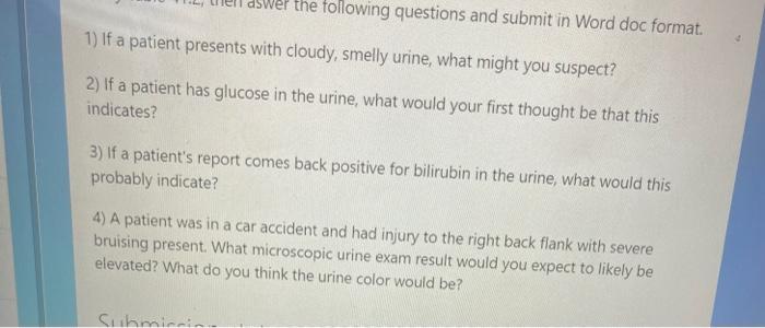 Aswer The Following Questions And Submit In Word Doc Format 1 If A Patient Presents With Cloudy Smelly Urine What Mi 1